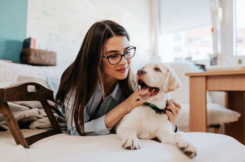 chica con perro