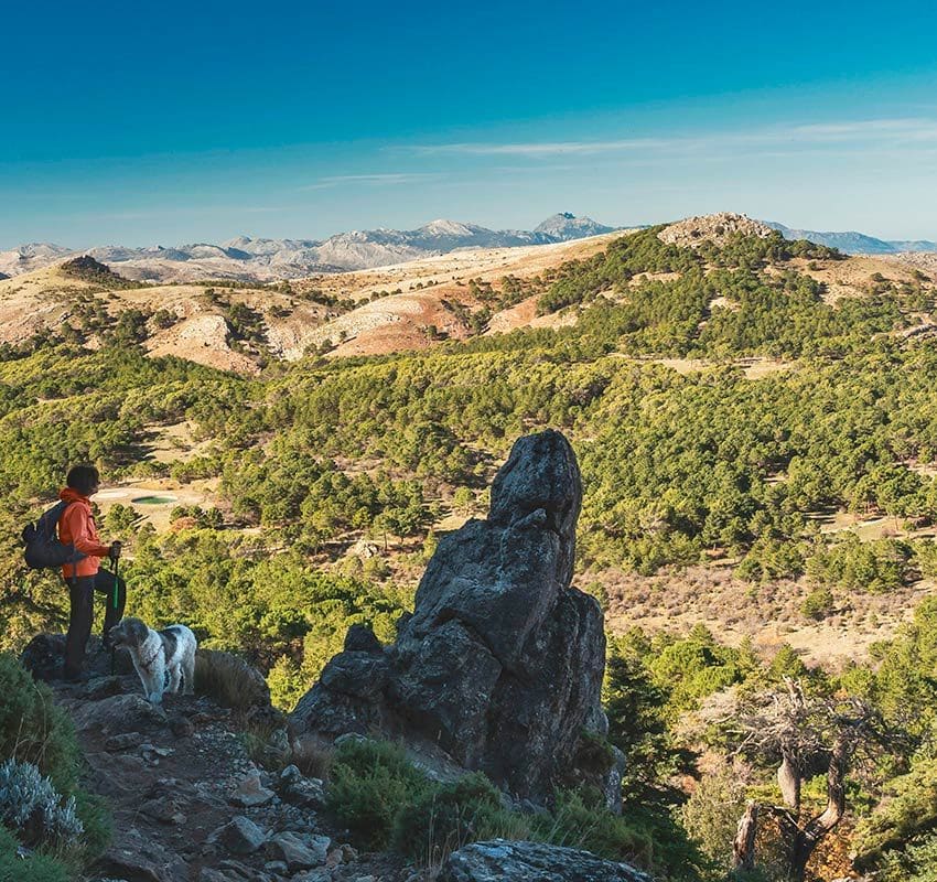 parque nacional sierra de las nieves 2hc9m99