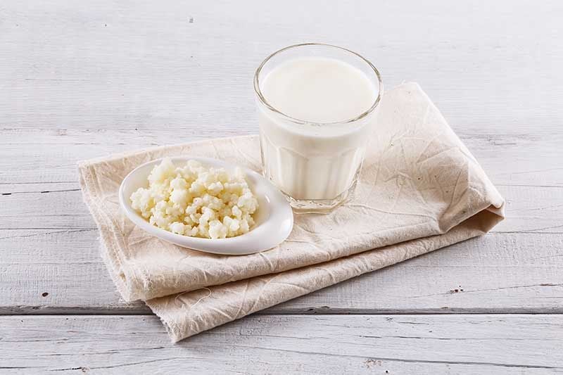 5 Kefir AdobeStock_103068728