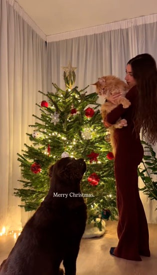 Lola Lolita pone su árbol de Navidad