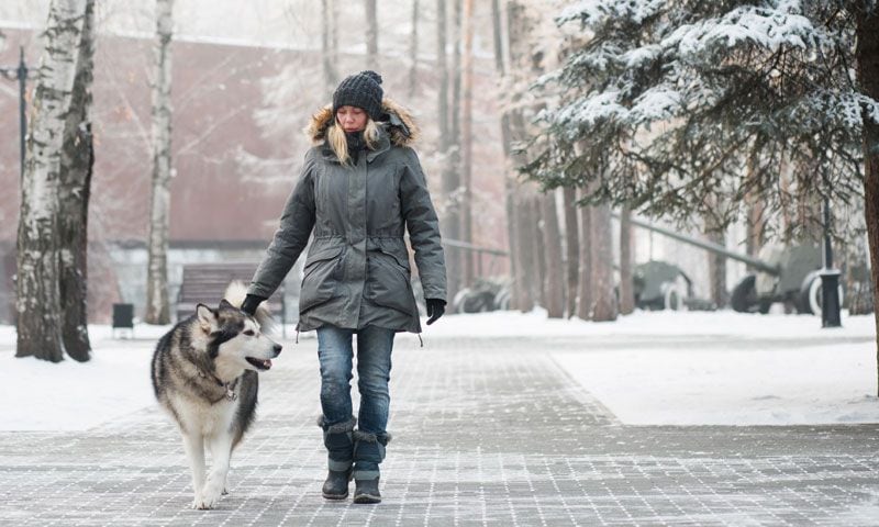 chica perro nieve