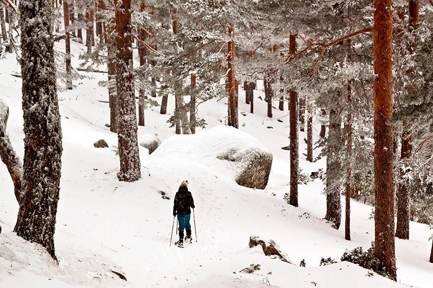 guadarrama raquetas nieve