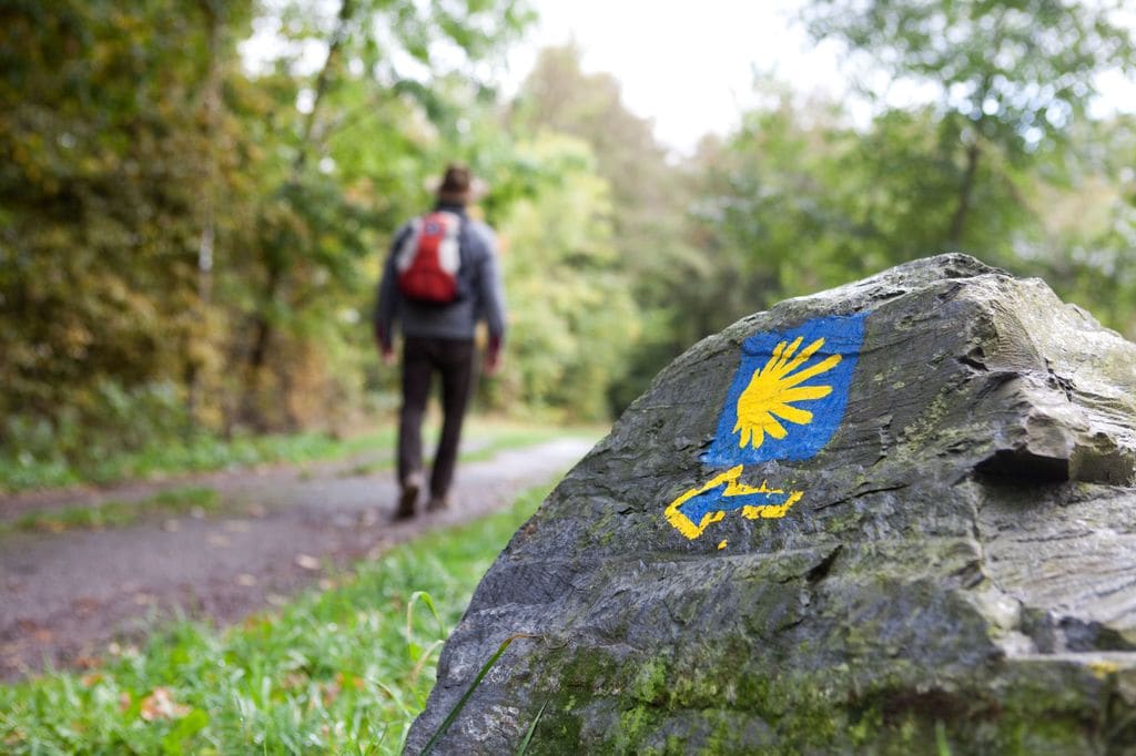 Camino de Santiago