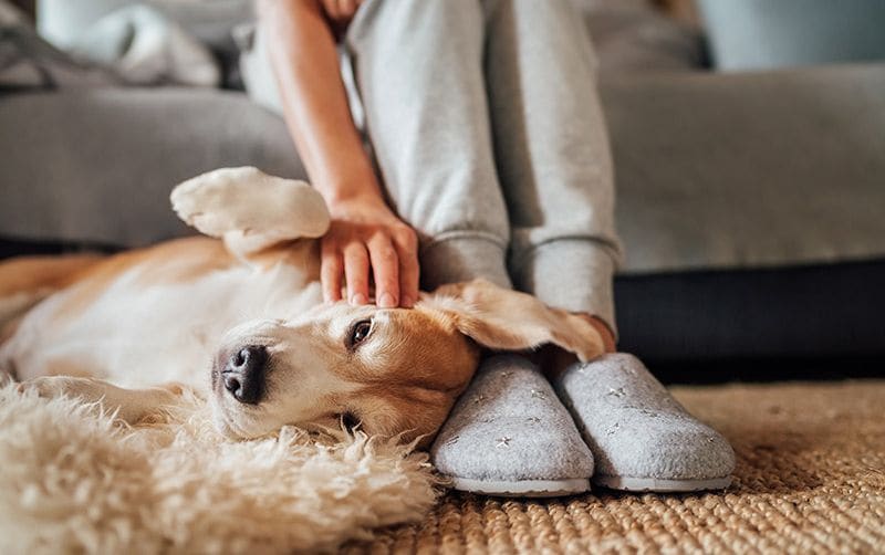 mujer acariciando perro