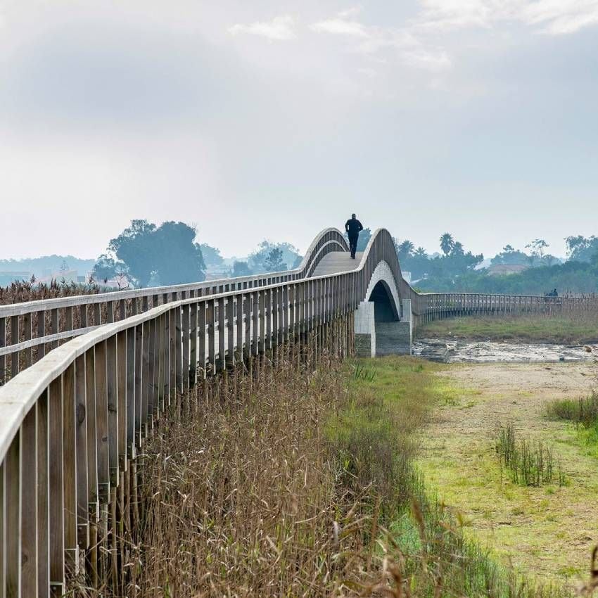 pasarelas de madera en la reserva natural de espinho portugal