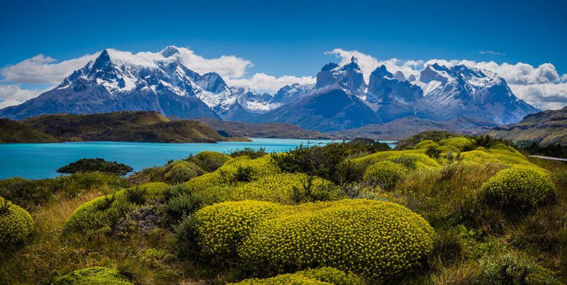 patagonia