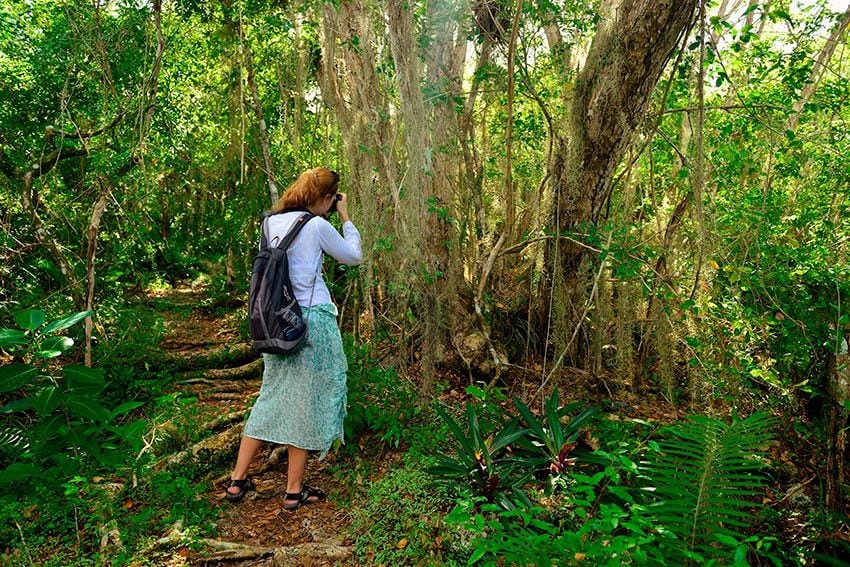 Reserva Natural de Cotubanamá, República Dominicana