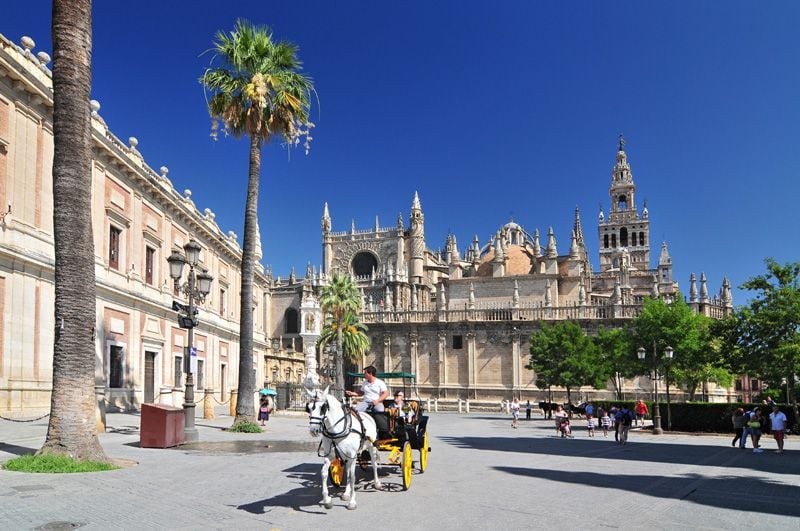 catedral sevilla gtres