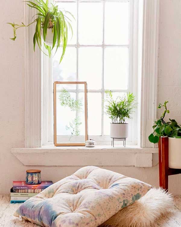 Decorar con plantas