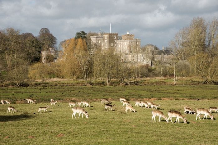 El castillo de Powderham 