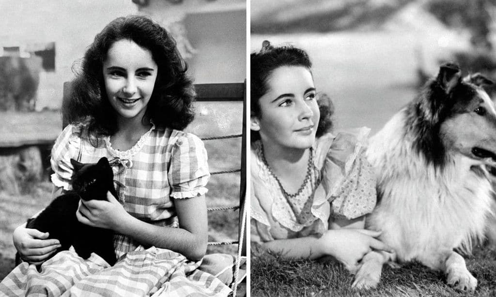 Elizabeth Taylor