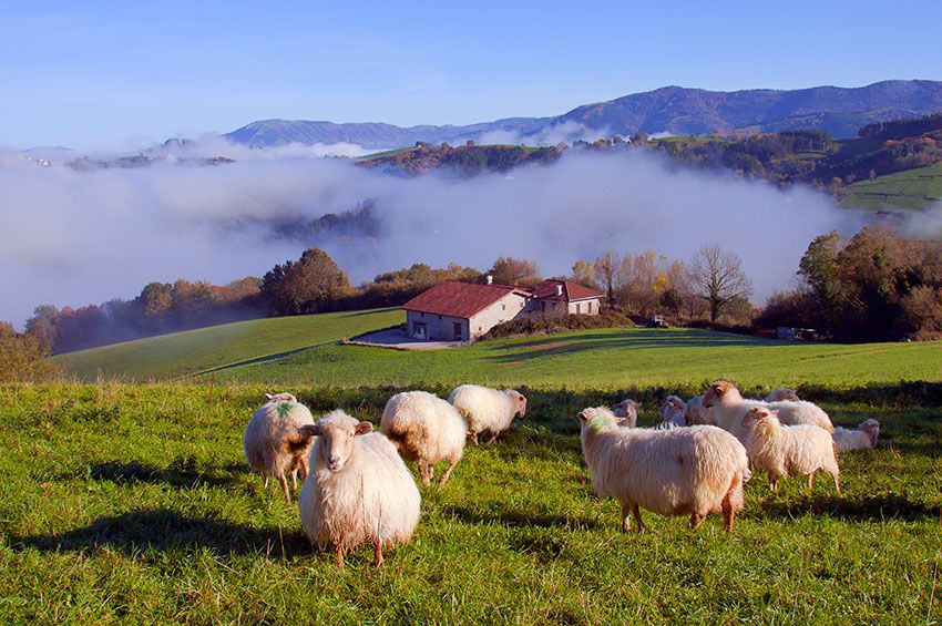 goierri guipuzcoa