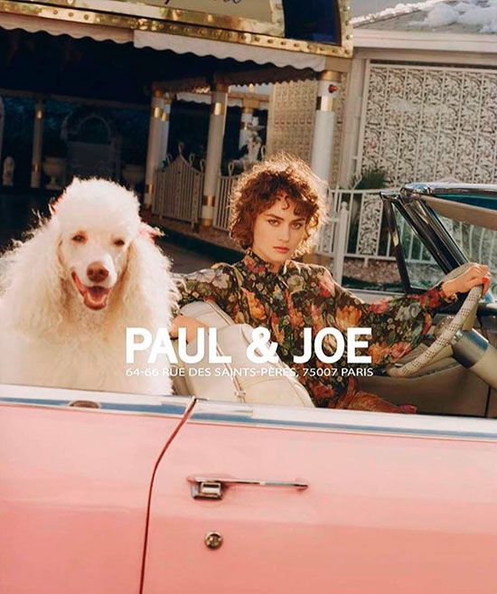 Paul & Joe