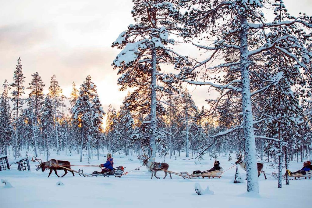 a_Kakslauttanen reindeer safari