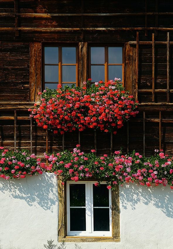 plantas exterior balcon 02a