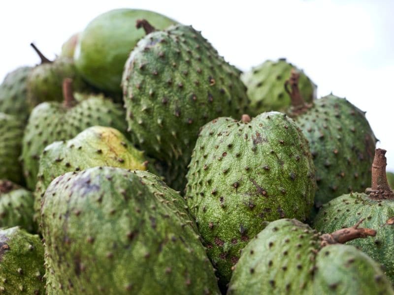 guanabana