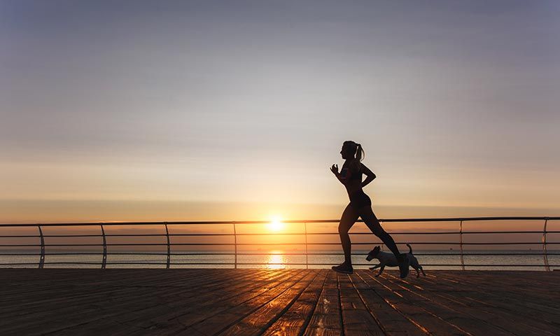 ejercicio y deportes que puedes hacer con tu perro 2