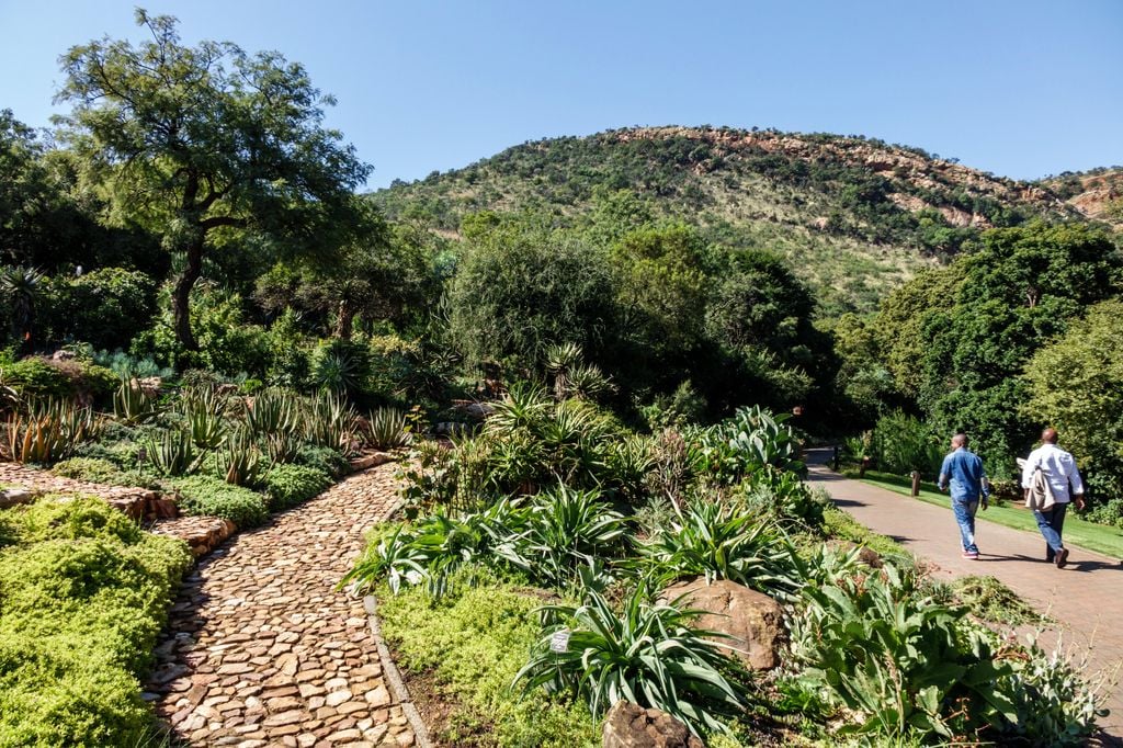 Jardín Botánico de  Johannesburgo