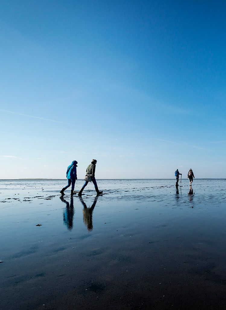 Mar de Wadden, Alemania