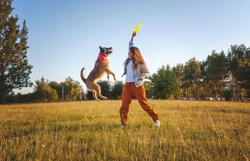 mujer jugando perro campo