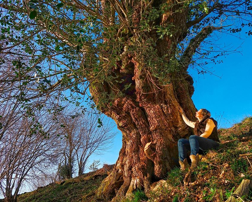 Asturias, baños de bosque