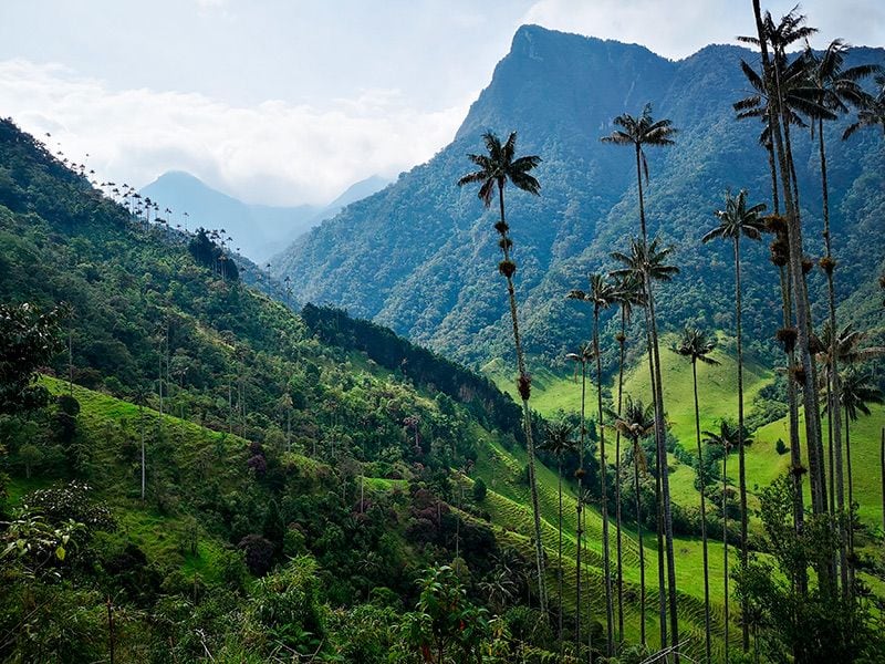 colombia