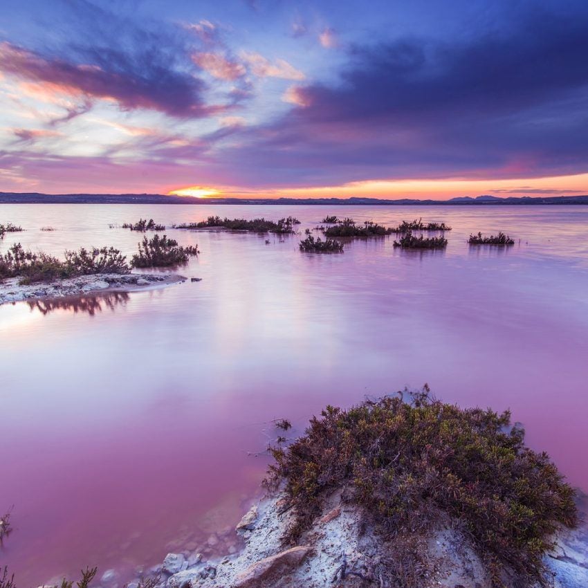 laguna salada de la mata en torrevieja alicante