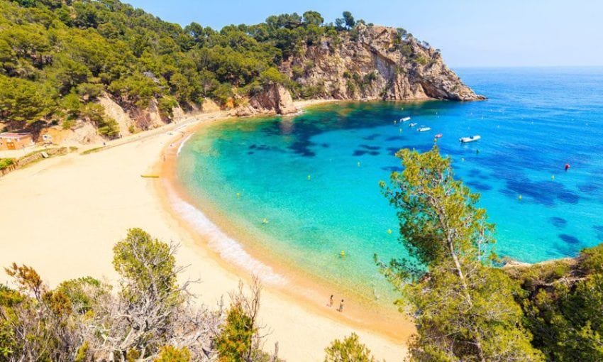 Cala Giverola, al cobijo de los pinos.