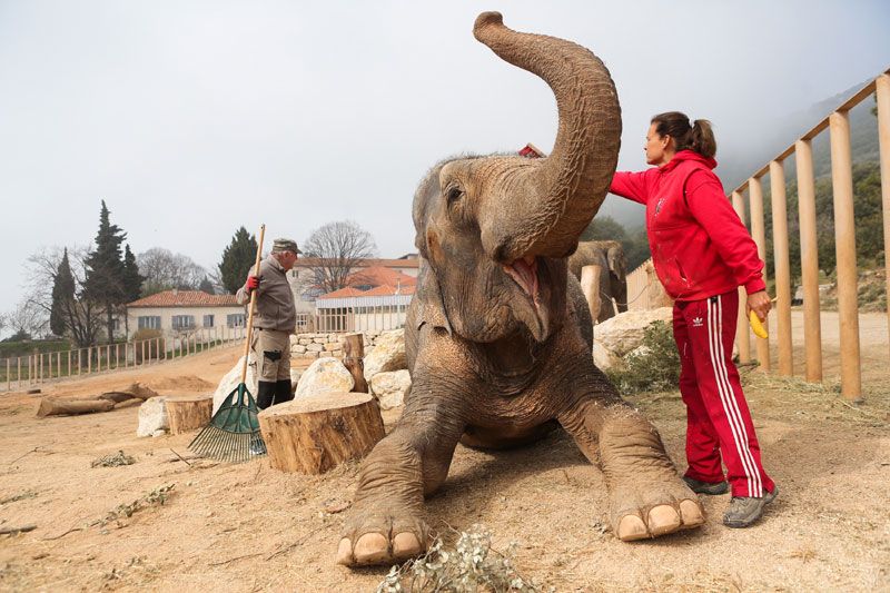 Estefanía de Mónaco con un elefante