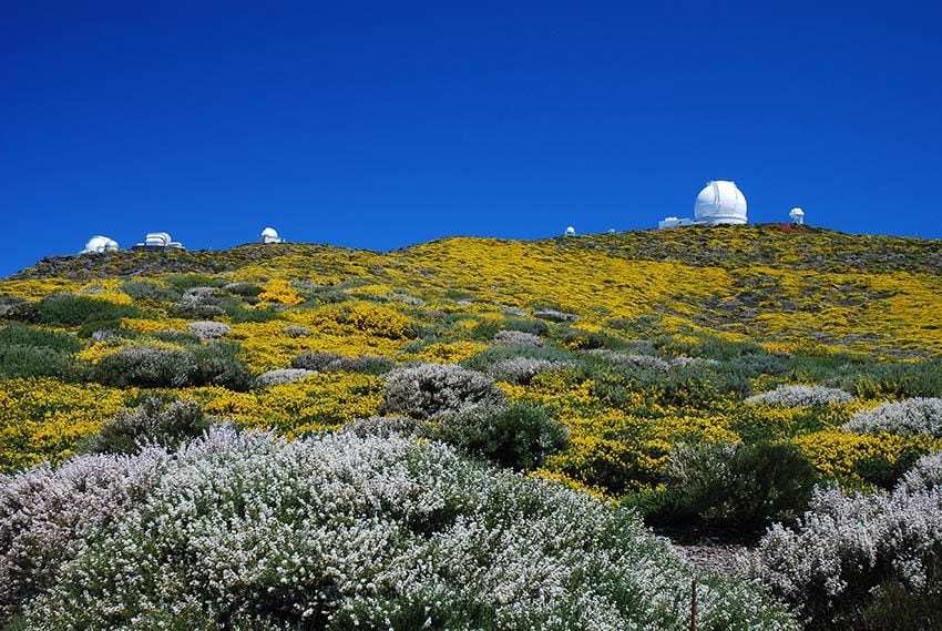 Observatorio astronómico de La Palma en primavera repleto de color