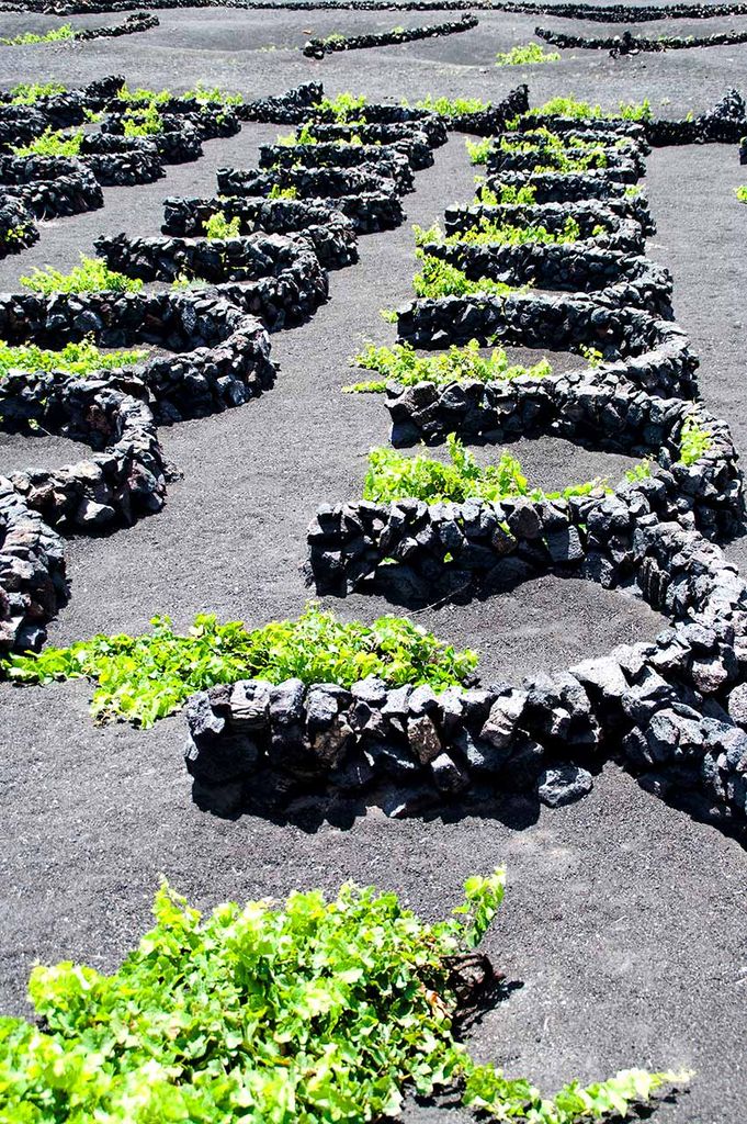 la geria lanzarote