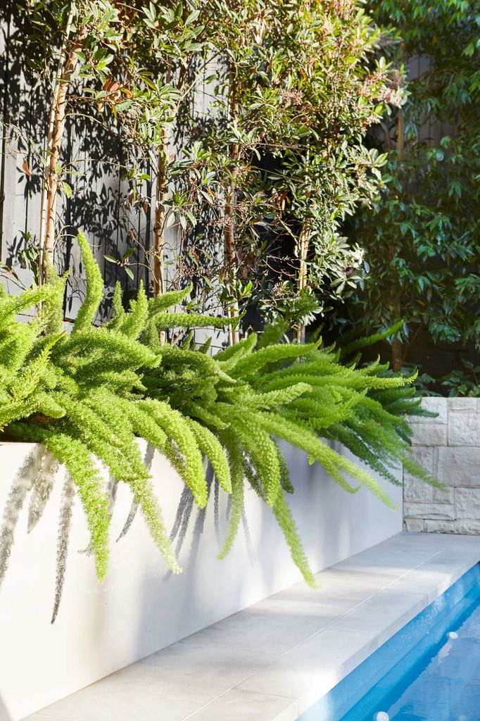 Jardineras con plantas