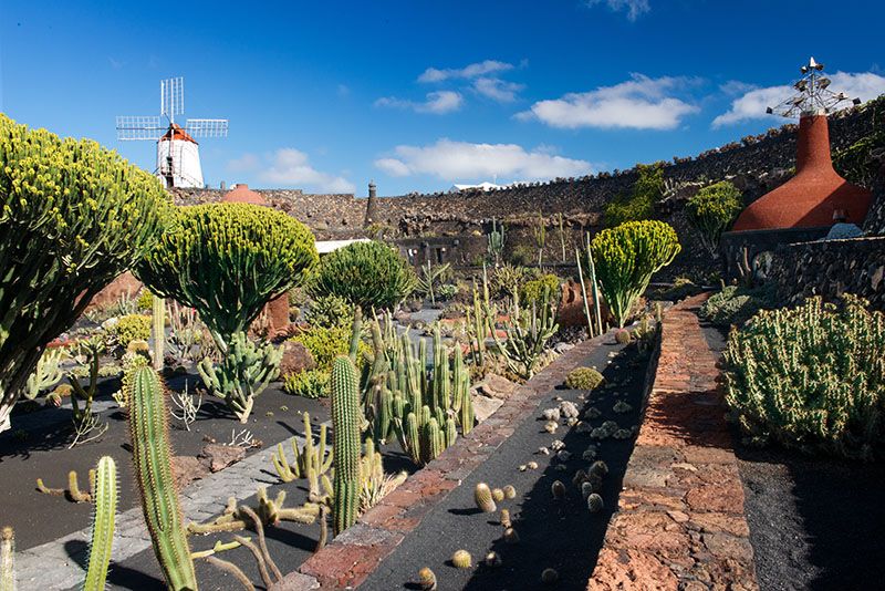 lanzarote3