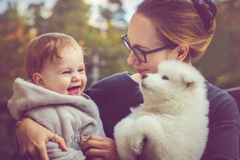 mama bebe perro