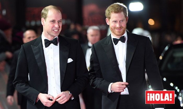 Guillermo y Harry de Inglaterra 