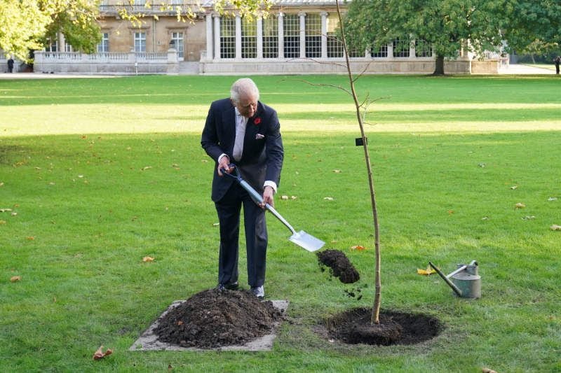 Carlos III plantando un árbol