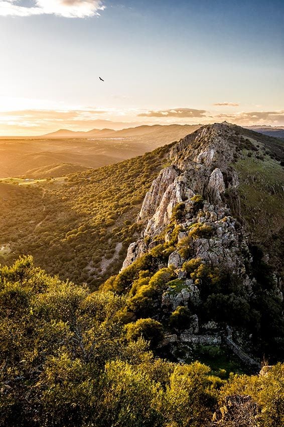 monfrague-parque-nacional-aves