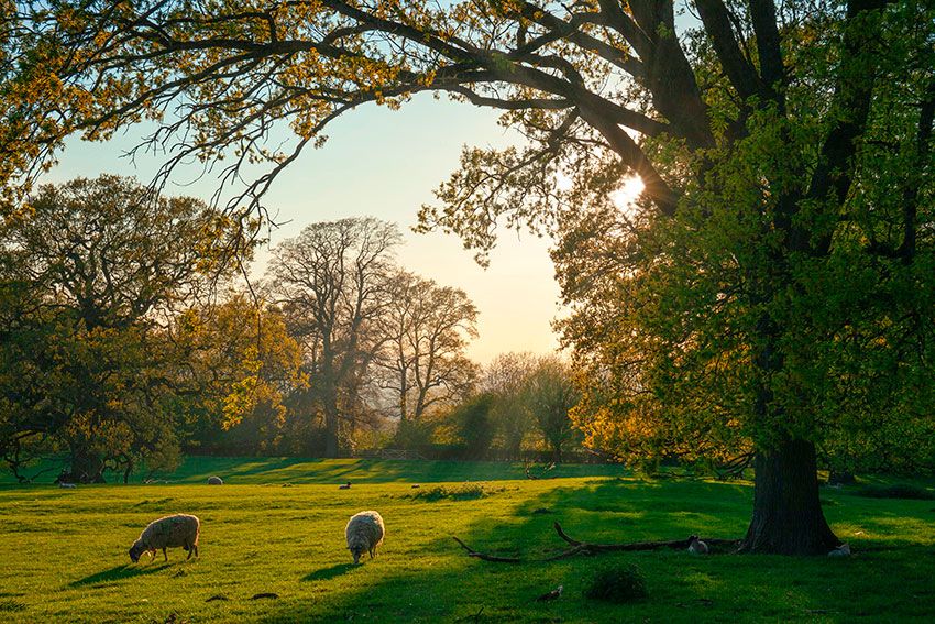 Campiña inglesa en Los Cotswolds, Inglaterra