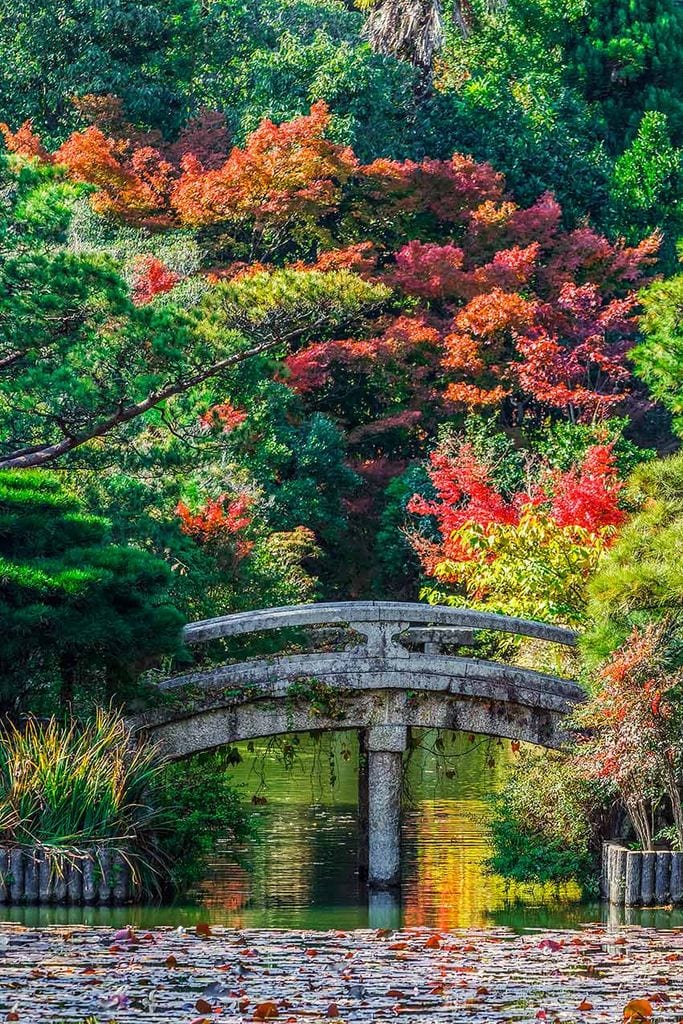 ryoanji kyoto 2