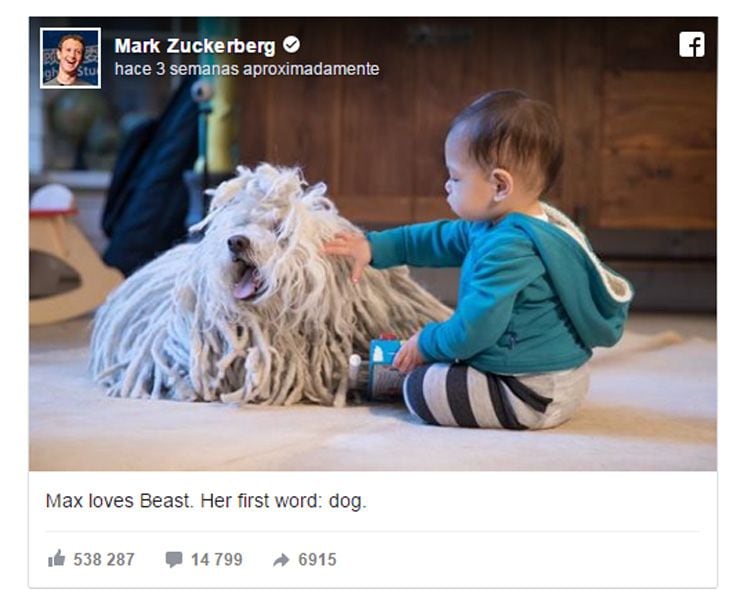 Max Zuckerberg