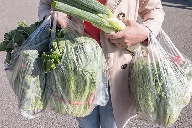 No todo se puede tirar a la basura