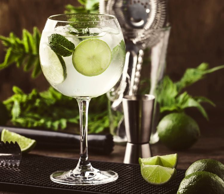 Gin tonic con lima y hierbas aromáticas frescas