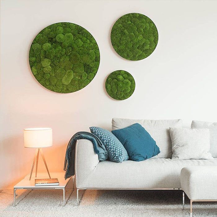 Decoración con tres expositores circulares de plantas