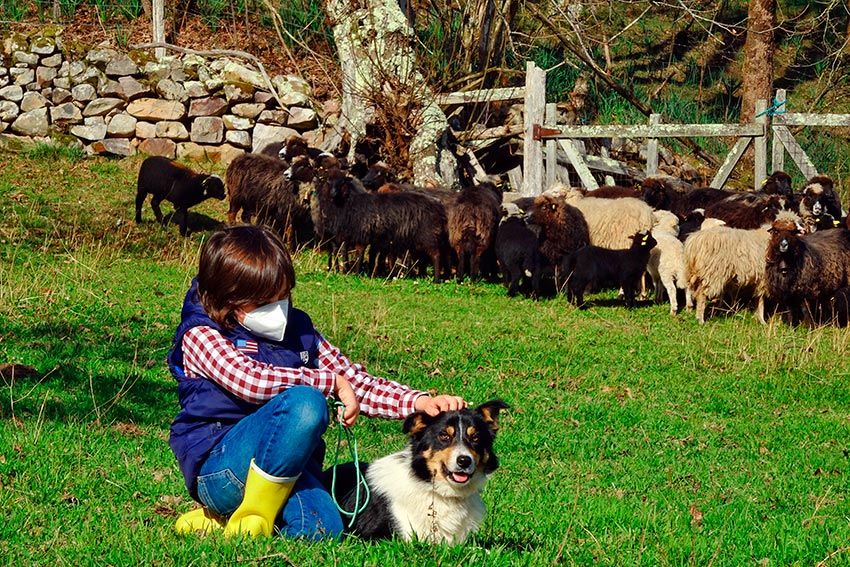 Experiencia de pastoreo en Asturias