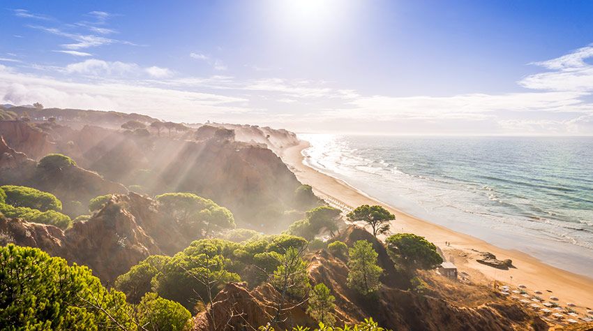 Falesia playa Portugal