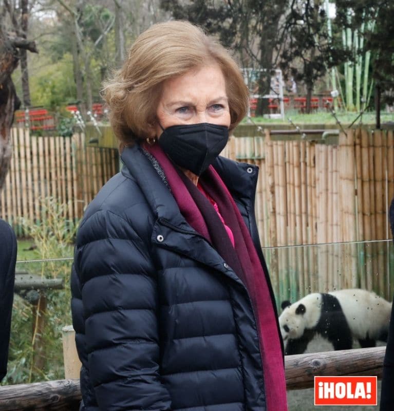 Doña Sofía no faltar a la cita con sus animales favoritos, los osos panda