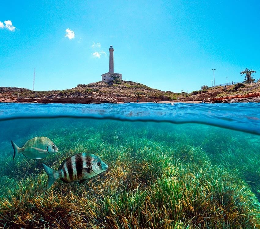 cabo de palos murcia