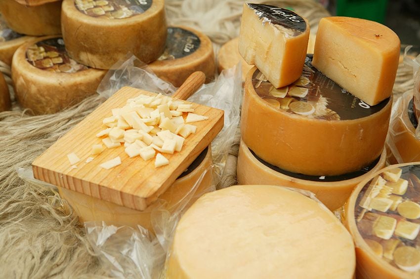 Goierri, Guipúzcoa, País Vasco, queso Idiazabal