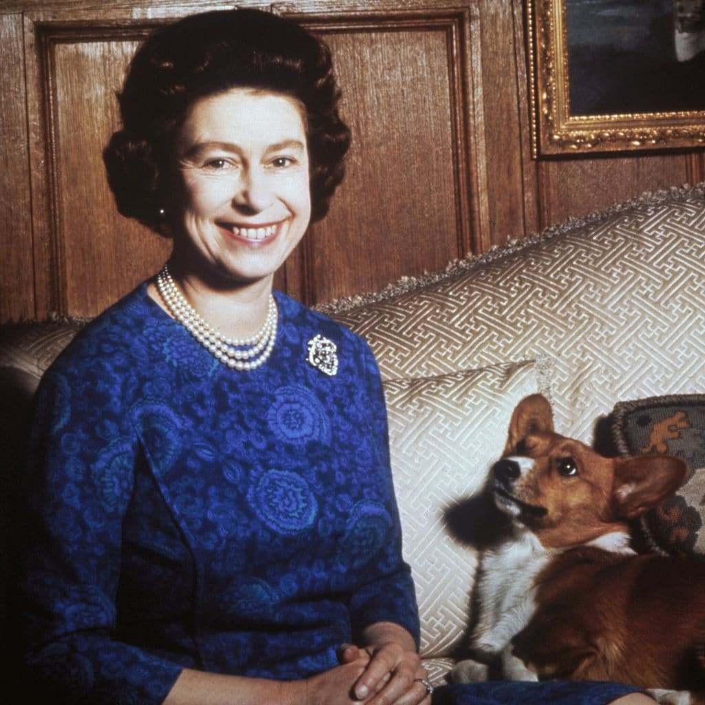Queen Elizabeth’s corgis have a new home: Find out who is taking the royal pups