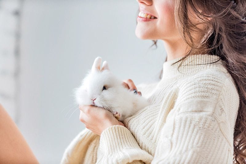 04 consejos mejorar salud comportamiento conejos